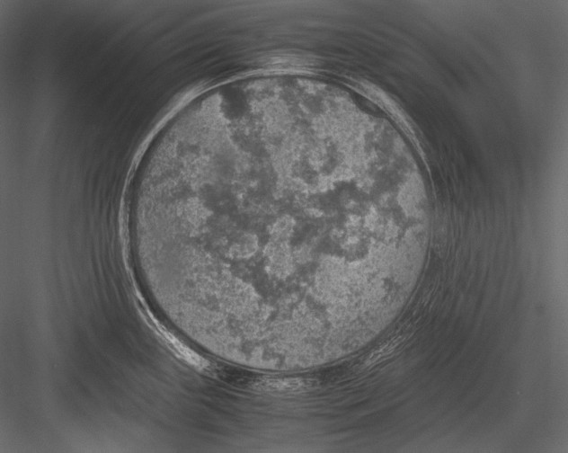 X0000082991243200702230051