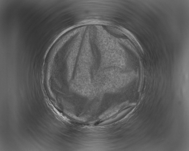 X0000082991244200702230051