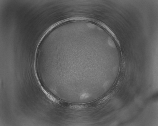 X0000082991245200702230051