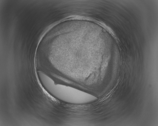 X0000082991247200702230051