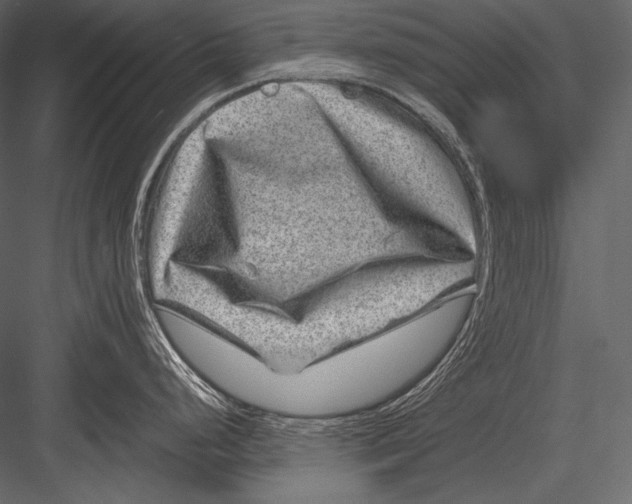 X0000082991248200702230052