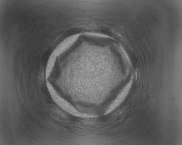 X0000082991251200702230051