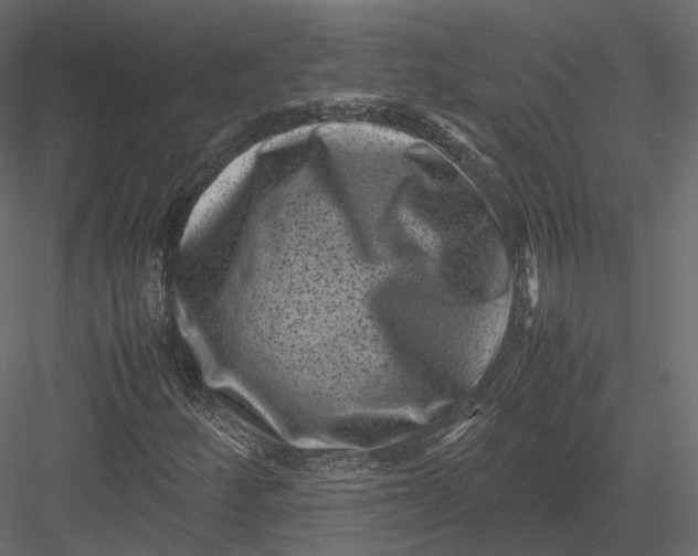 X0000082991252200702230051