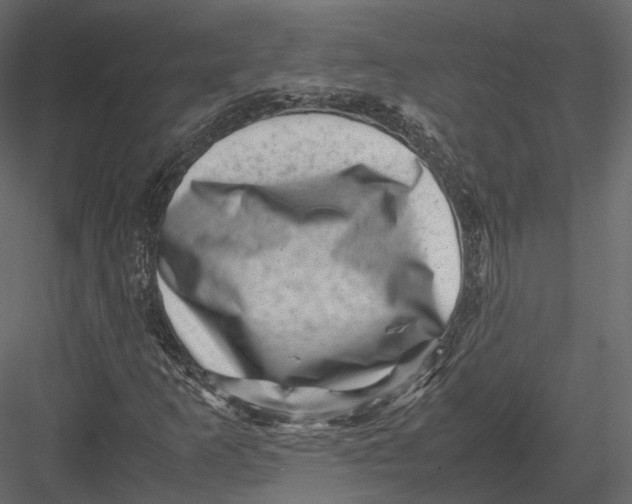 X0000082991253200702230051