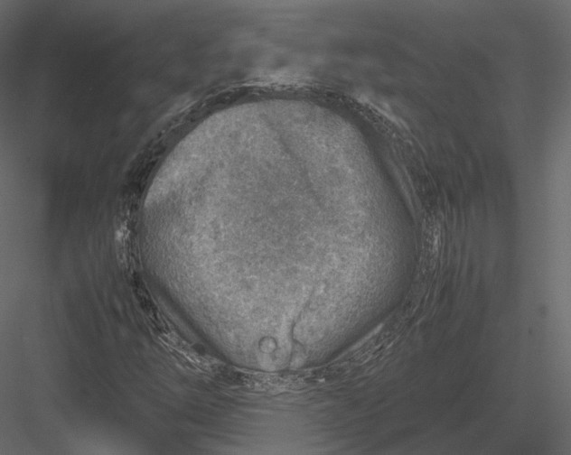 X0000082991254200702230051