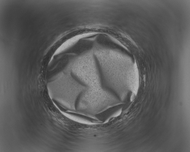 X0000082991256200702230051