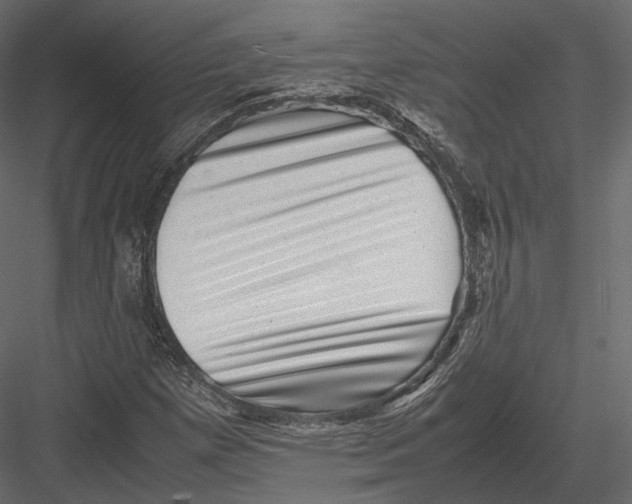 X0000082991257200702230051