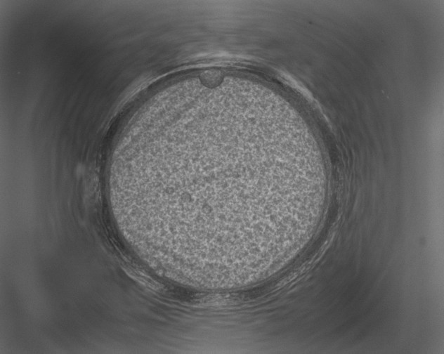 X0000082991259200702230051