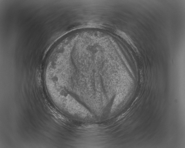 X0000082991260200702230050