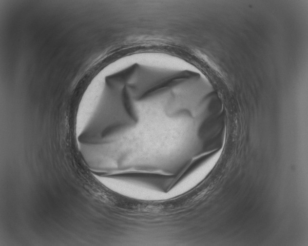 X0000082991261200702230050