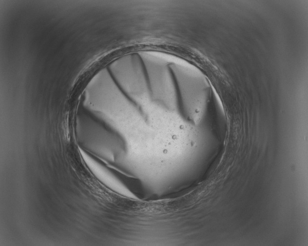 X0000082991262200702230050