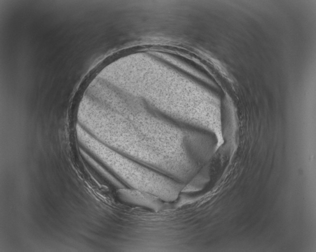 X0000082991264200702230050