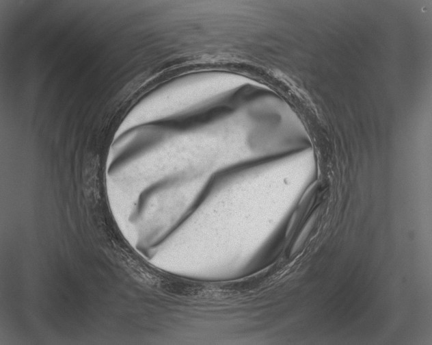 X0000082991265200702230050