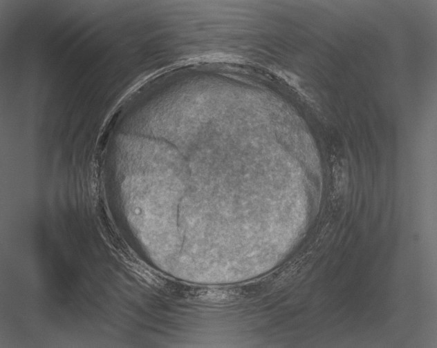 X0000082991266200702230050