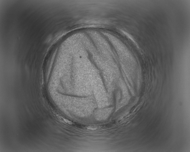 X0000082991267200702230050