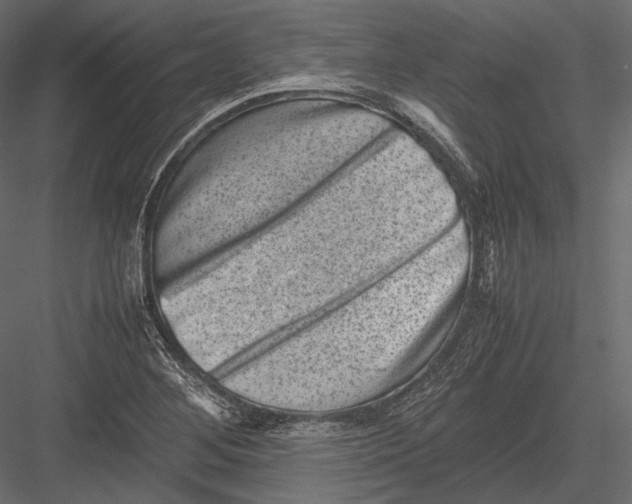 X0000082991268200702230050