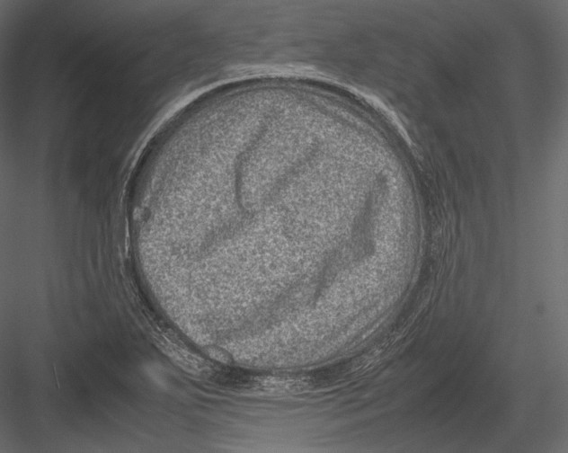 X0000082991271200702230050