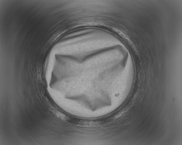 X0000082991273200702230050