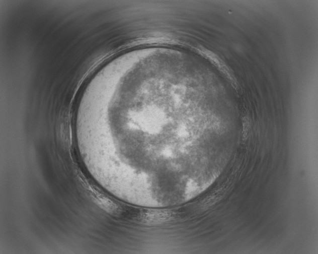 X0000082991274200702230050