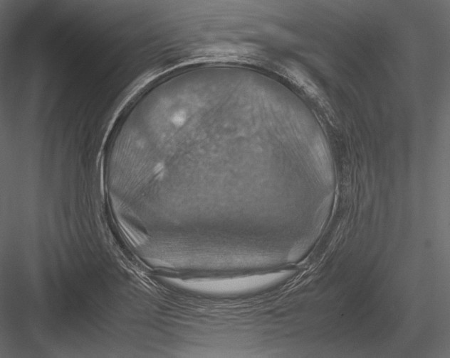 X0000082991275200702230050