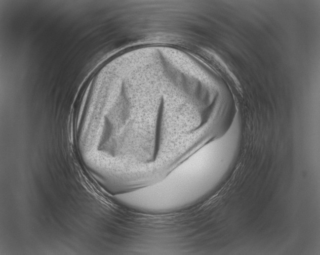 X0000082991276200702230050