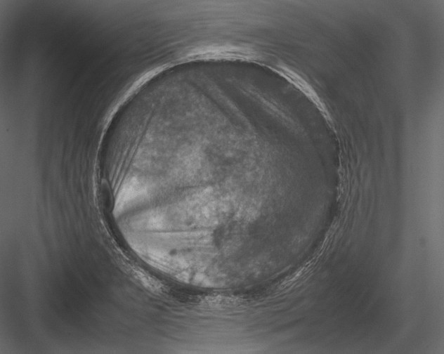 X0000082991277200702230050