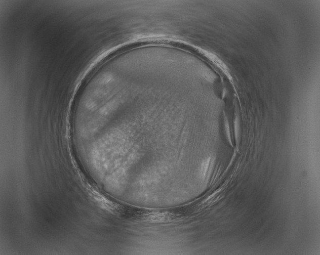 X0000082991279200702230050