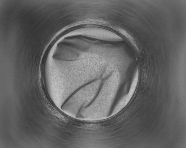 X0000082991280200702230050