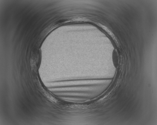 X0000082991281200702230050