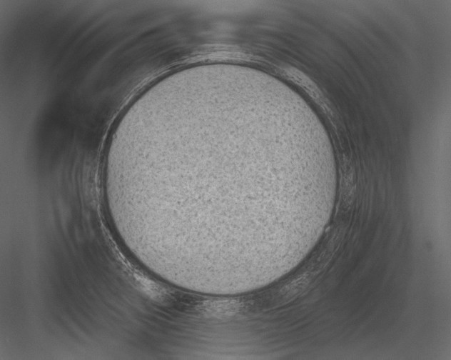 X0000082991282200702230050