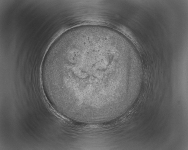 X0000082991283200702230050