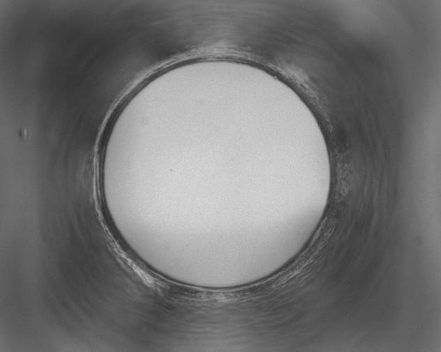 X0000082991286200702230050