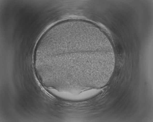 X0000082991287200702230050