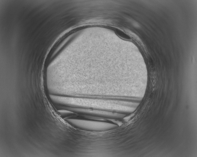 X0000082991288200702230050