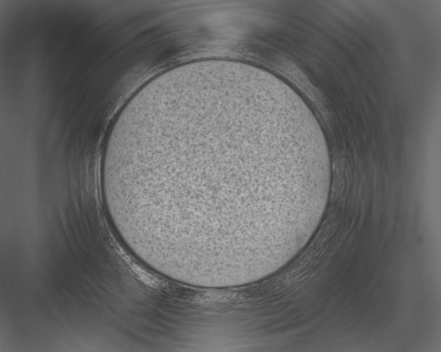 X0000082991290200702230050