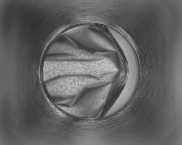 X0000082991293200702230050