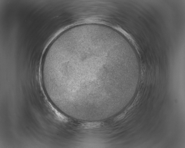 X0000082991294200702230050