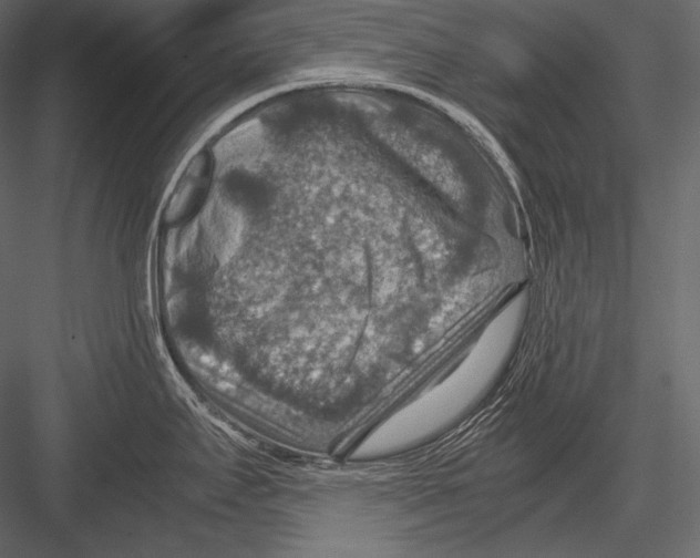 X0000082991295200702230050