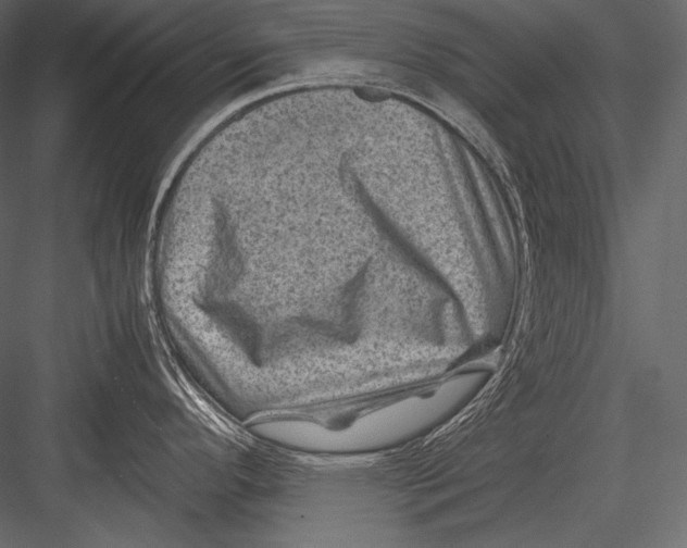 X0000082991296200702230050