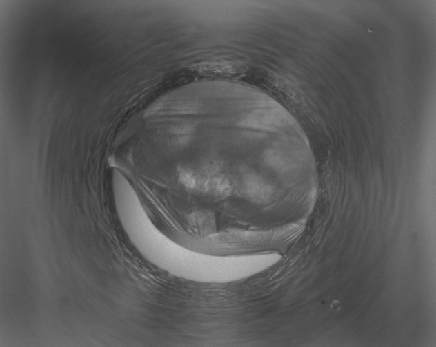 X0000082991297200702230049