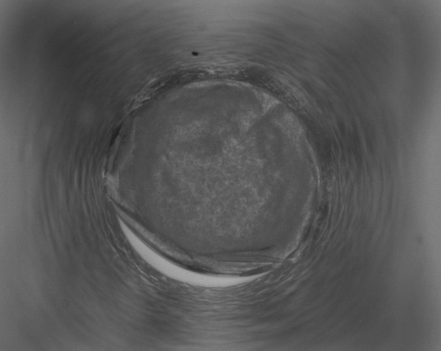 X0000082991298200702230049