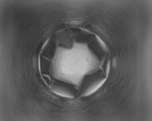 X0000082991299200702230049