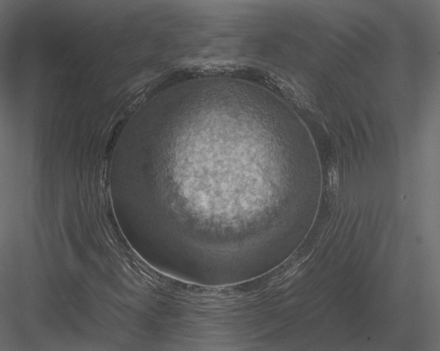 X0000082991300200702230049