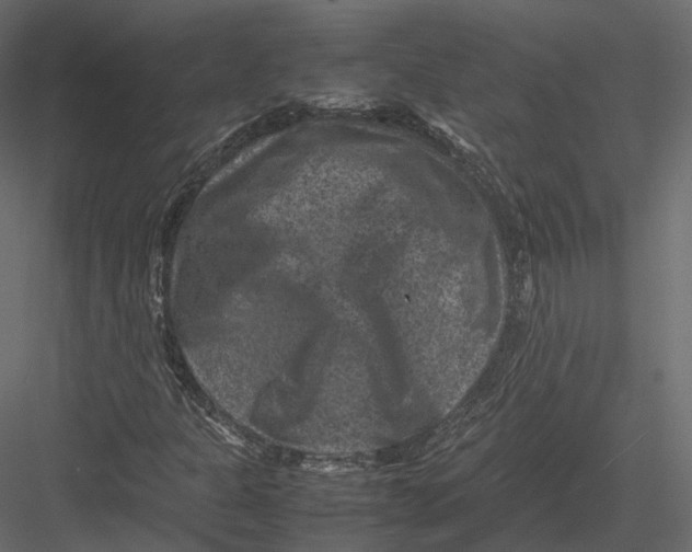 X0000082991301200702230049