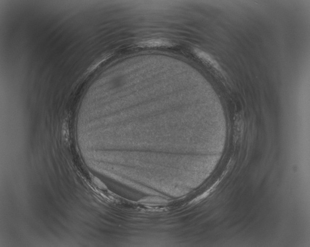 X0000082991305200702230049