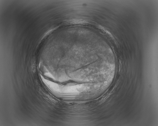 X0000082991306200702230049