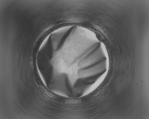 X0000082991307200702230049