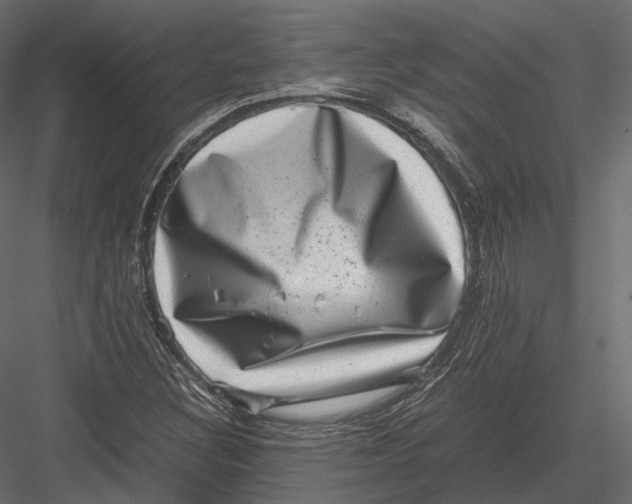 X0000082991308200702230049