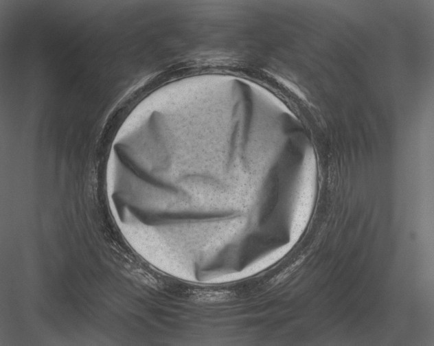 X0000082991309200702230049