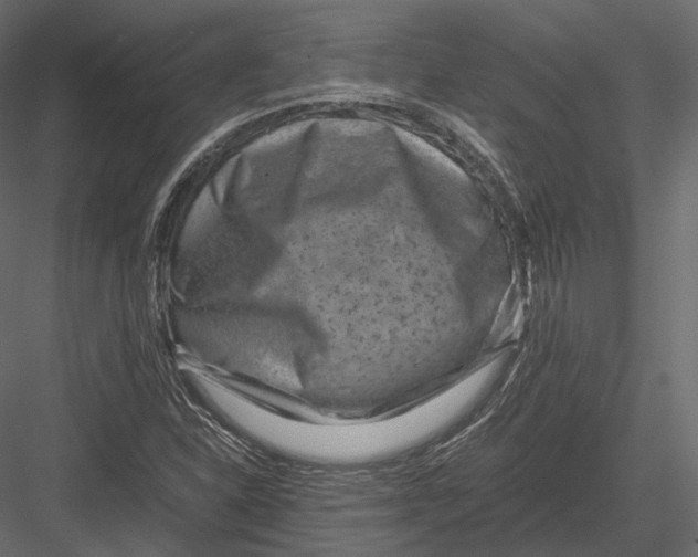 X0000082991310200702230049